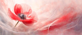 Fototapeta Kwiaty - Czerwony kwiat, zawilec, pastelowe tło panoramiczne, puste miejsce