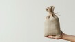 © chanidapa - Women hand hold a money bag with clipping path and copy space on white background, a loan or saving money for future investment concept