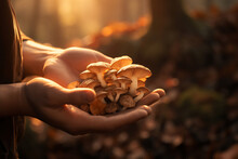Handful of Wild Mushrooms in Forest Light