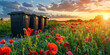 An illustration of a beautiful nature with a field of poppies and a wonderful sunset and a way and strategy to preserve such beauty