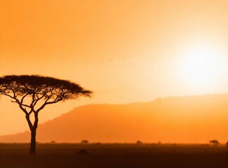 Canvas Print - African savanna panoramic landscape photography at sunset. Travel background with copy space.