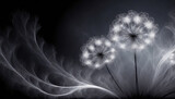 Fototapeta Dmuchawce - Tapeta dmuchawce, abstrakcyjne białe kwiaty