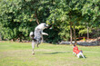 © HelloUG - Dogs playing in a seaside park in Kowloon, Hong Kong 香港の九龍の海沿いの公園で遊ぶ犬
