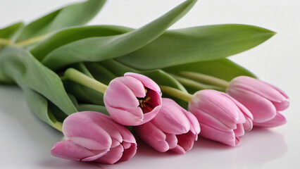 Wall Mural - Photo Of Pink Tulips Bouquet Isolated On White Background.