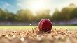 close up of a cricket ball, ball hitting the ground 