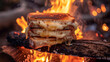 Forget basic campfire fare these gourmet grilled cheese sandwiches elevate outdoor cooking to a whole new level. Made with premium cheese and artisan bread each bite is bursting
