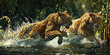 leopards run on water in jungle. Dangerous animal