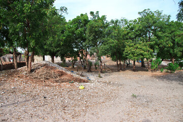 Sticker - Sipo village close Toubacouta in Senegal, West Africa