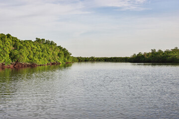 Canvas Print - Bandiala river close Toubacouta village, Senegal, West Africa