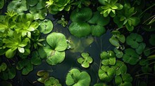 Green Water Plants. Generative AI