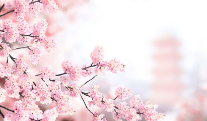 Aufkleber - Horizontal banner with sakura flowers of pink color and ancient pagoda on sunny misty backdrop. Beautiful nature spring background with a branch of blooming sakura. Sakura blossoming season in Japan