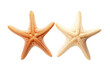 © Usama - Two Starfish. Two starfish are placed side by side. on a White or Clear Surface PNG Transparent Background.