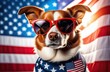 A dog from the USA wearing sunglasses. Glasses in the color of the American flag. there is an American flag on the dog. close-up. in the rays of the setting sun