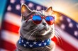 A cat from the USA wearing sunglasses. Glasses in the color of the American flag. against the background of the American flag. dog in full growth. in the rays of the setting sun