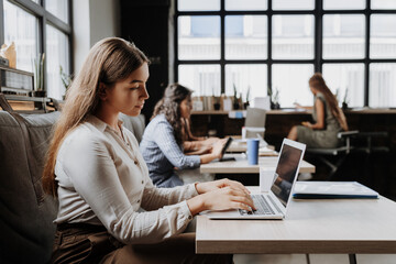 Wall Mural - Group of freelancers and remote businesspeople working in shared work area. Concept of coworking, common workspaces for business, startups.