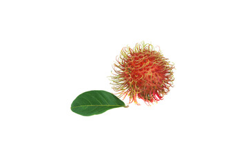 Canvas Print - rambutan isolated on white background