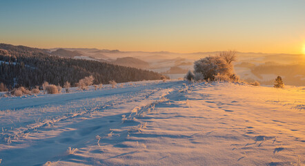 Wall Mural - extremely frosty mountain landscape at sunrise.pieniny mountain,poland.