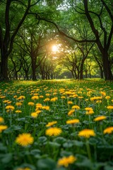 Poster - An idyllic scene of spring nature. Beautiful Park with dandelions, a blue sky, green grass and trees. Tranquil background, bright sunshine. Beautiful meadow scenery.