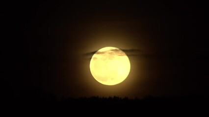 Wall Mural - moving clouds on the background of the moon