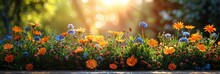 Summer Flower Garden With Many Types Of Flowers, Banner Image For Website, Background Pattern Seamless, Desktop Wallpaper