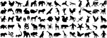 Animal Silhouette Vector Illustration, Diverse Wildlife Collection