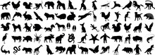 Diverse Wildlife Animal Silhouette On Dark Background. Collection Includes Elephant, Lion, Monkey, Bird, And More. Perfect For Nature, Education, And Conservation Projects