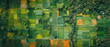 Banner of aerial satellite view of cultivated agricultural farming land fields with vivid green color countryside farmland village town with canal river