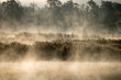 morning fog on the pond