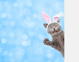 Aufkleber - Happy kitten wearing easter rabbits ears looks from behind empty white banner on blurred green background