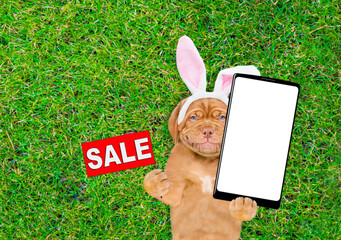 Aufkleber - Smiling Mastiff puppy wearing easter rabbits ears holds big smartphone with white blank screen in it paw and lies on its back on green grass. Top down view