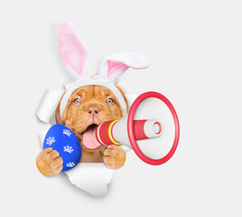Poster - Happy Mastiff puppy wearing easter rabbits ears holding painted easter egg and barking into a megaphone and looking through the hole in white paper