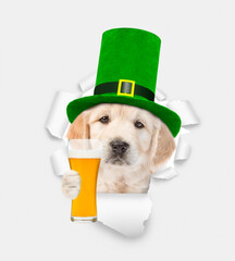 Poster - Saint Patrick's Day concept. Happy golden retriever puppy wearing sunglasses and hat of the leprechaun with a glass of light beer looks through the hole in white paper