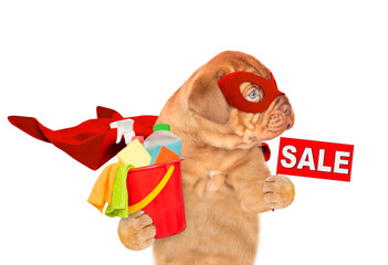 Poster - Funny Mastiff puppy wearing superhero costume holds bucket with washing fluids and  showing signboard with labeled 