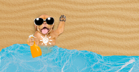 Poster - Happy Mastiff puppy wearing sunglasses lying at sunny beach and applying suntan lotion or sun block. Top down view. Empty space for text