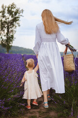 Wall Mural - a mother and her little daughter are walking in a lavender field