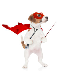 Poster - jack russell terrier wearing like a doctor with superhero cape and with stethoscope on his neck points away on empty space. Isolated on white background