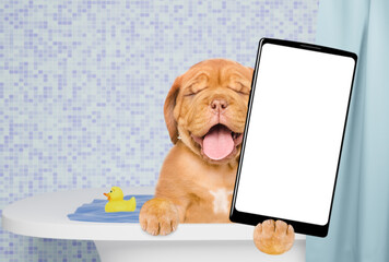 Poster - Happy Mastiff puppy takes the bath, holds rubber duck and shows big smartphone with white blank screen in it paw