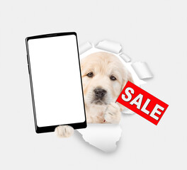 Poster - Golden retriever puppy shows big smartphone with white blank screen in it paw and signboard with labeled 