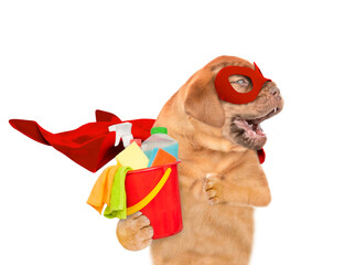 Poster - Funny Mastiff puppy wearing superhero costume holds bucket with washing fluids and looks away on empty space. Isolated on white background