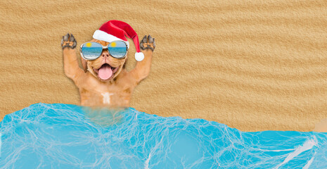 Poster - Happy Mastiff puppy wearing sunglasses and red santa hat lying on sandy tropical beach at ocean. Top down view. Empty space for text