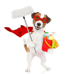 Poster - Funny jack russell terrier puppy wearing superhero costume holds  the mop and bucket with washing fluids. Isolated on white background