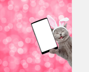 Poster - Happy kitten wearing easter rabbits ears holds big smartphone with white blank screen and looks from behind empty white banner on pink blurred background