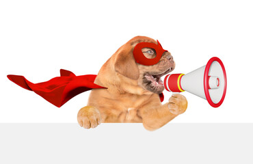 Poster - Funny Mastiff puppy wearing superhero costume barking into the megaphone above white banner.  Isolated on white background
