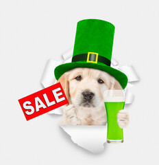 Poster - Saint Patrick's Day concept. Cute Golden retriever puppy wearing green hat of the leprechaun looks through the hole in white paper, holds mug of green beer and shows signboard with labeled 