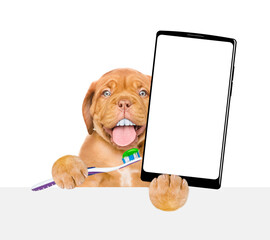 Poster - Mastiff puppy with funny big teeth holds the toothbrush with toothpaste and holds big smartphone with white blank screen in it paw above empty banner. isolated on white background