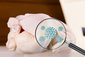 Poster - Magnifying lens with blue simulated germs, bacteria, viruses