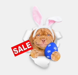 Aufkleber - Smiling Mastiff puppy wearing easter rabbits ears holds painted egg and shows signboard with labeled 