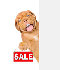 Poster - Happy Mastiff puppy with funny teeth shows signboard with labeled 