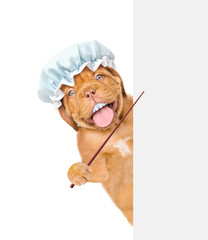 Poster - Happy Mastiff puppy with funny big teeth wearing shower cap looks from behind empty white banner and points on empty space. isolated on white background