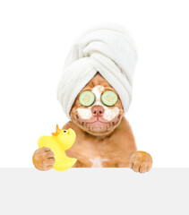 Poster - Smiling Mastiff puppy with towel on it head with cream on it face, with pieces of cucumber on it eyes looks above empty white banner and holds rubber duck. isolated on white background